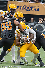 IMG_4438-denoise-denoise_1777329269_69efe475707b4