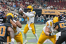 IMG_4467-denoise-denoise_1777329281_69efe481ad500