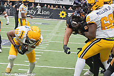 IMG_4471-denoise-denoise_1777329284_69efe484d30cd