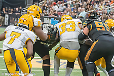 IMG_4519-denoise-denoise_1777329315_69efe4a33e311