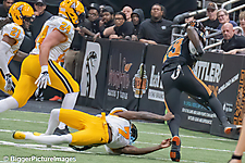 IMG_4575-denoise-denoise_1777329341_69efe4bd56f09