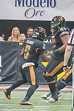 IMG_4581-denoise-denoise_1777329346_69efe4c20298b