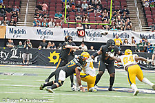 IMG_4623-denoise-denoise_1777329373_69efe4dd39500