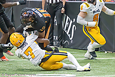 IMG_4627-denoise-denoise_1777329379_69efe4e342529