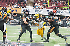 IMG_4640-denoise-denoise_1777329396_69efe4f4aae84