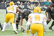 IMG_4643-denoise-denoise_1777329401_69efe4f95804a