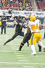 IMG_4649-denoise-denoise_1777329403_69efe4fba10f9