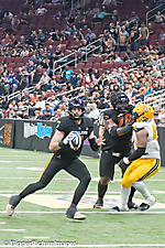 IMG_4665-denoise-denoise_1777329412_69efe504843e1