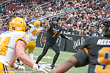 IMG_4669-denoise-denoise_1777329416_69efe508dbea0