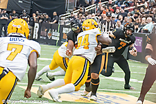 IMG_4698-denoise-denoise_1777329435_69efe51b199d3