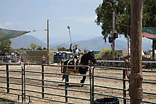 IMG_3081
