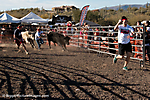 IMG_0583 LR LR