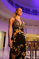 IMG_2904