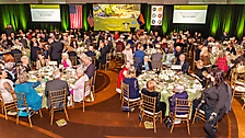 Ballroom Guests