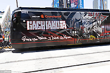 AK1A6537