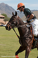 Scottsdale Polo Championships