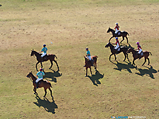 Scottsdale Polo Championships, Horses & Horsepower