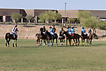IMG_6695 LR