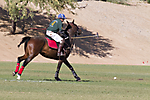 IMG_6707 LR