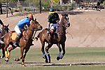 IMG_6709 LR