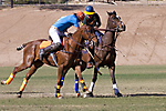 IMG_6710 LR