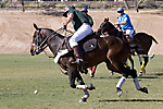 IMG_6714 LR