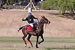 IMG_6719 LR