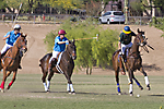 IMG_6720 LR