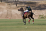 IMG_6723 LR