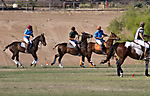 IMG_6729 LR