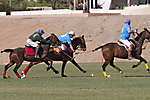 IMG_6736 LR