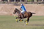 IMG_6754 LR