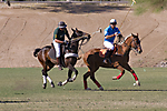 IMG_6762 LR