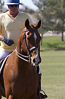 x IMG_6663 LR