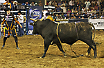 IMG_5384 LR