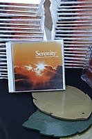 serenity-house-scottsdale-2009_23