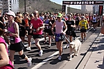 skirt-chasers-5k-tempe-2010_40