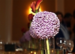 img_0250-01