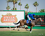 Stella Artois Kentucky Derby DayClub