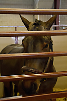 23 IMG_9690 LR
