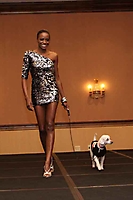 Tailwags and Handbags Fundraiser