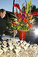 taste_200911