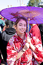 The 35th Annual Matsuri Festival