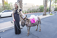 DSC00843_edit_1775738310_69d79dc65f148