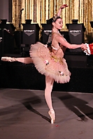 The Ballet Ball 2010