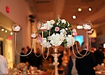 arizona-ballet-ball-phoenix-2010_47