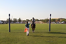 Polo 2023 -107