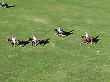 Polo 2023 -112
