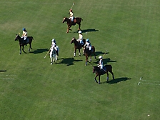 Polo 2023 -4