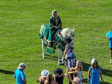 Polo 2023 -62